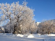 Зимний день 